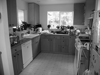 Kitchen looking north